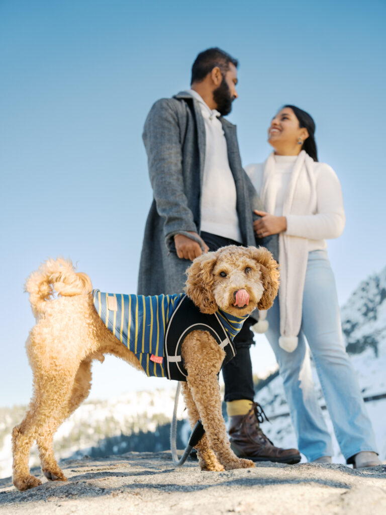 Main subjet is a dog sticking his tongue oue, in the bakcgroung the owners smile at each other