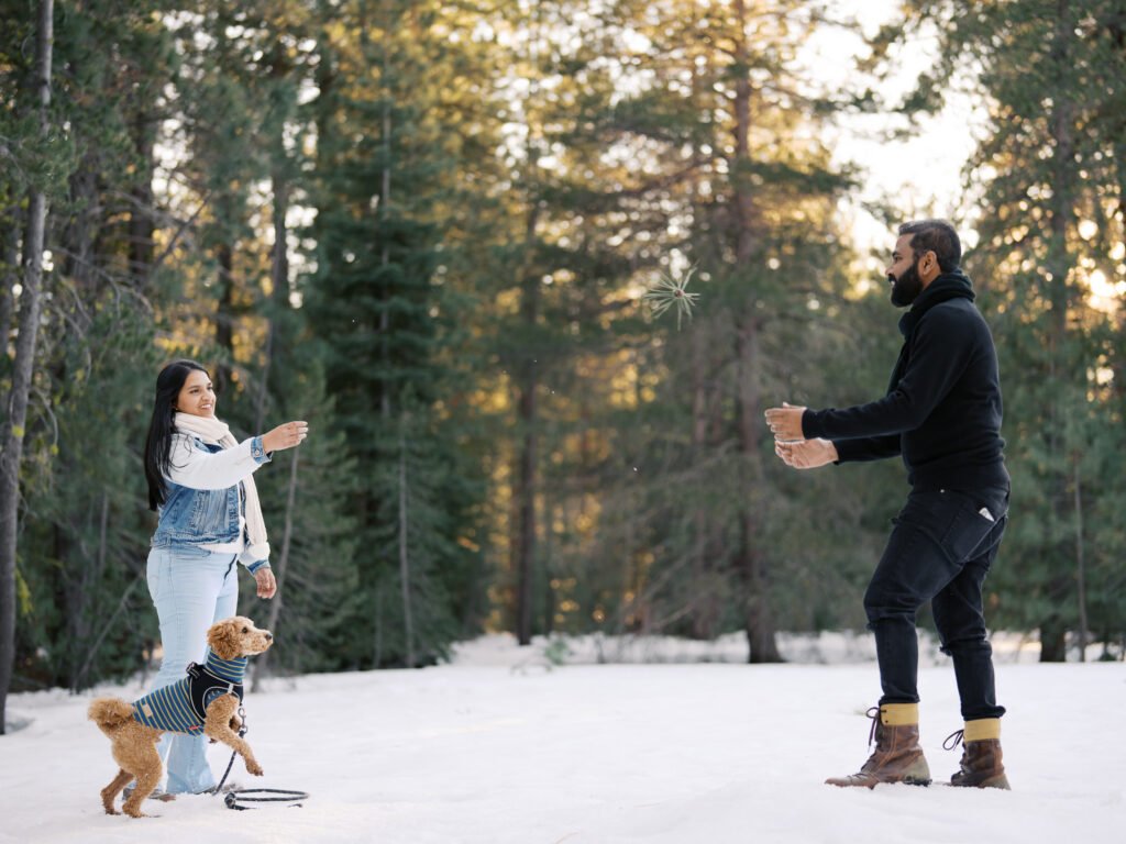 Couple plating with their dog in lake tahoe