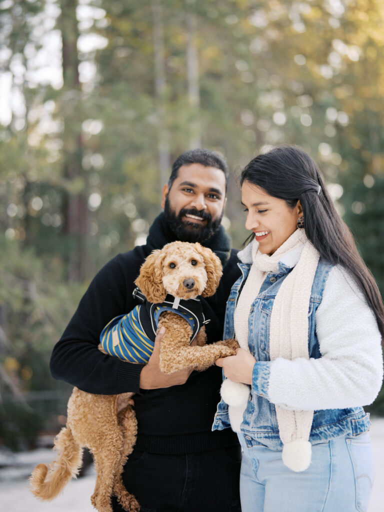 couple holding and smiling at theit dog at golden hour in donner lake