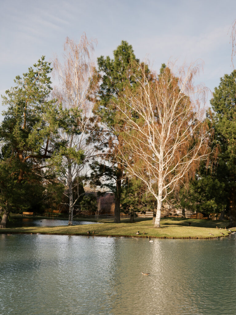 Scenery photo of a lake a trees captured by a Reno photographer in a couples session