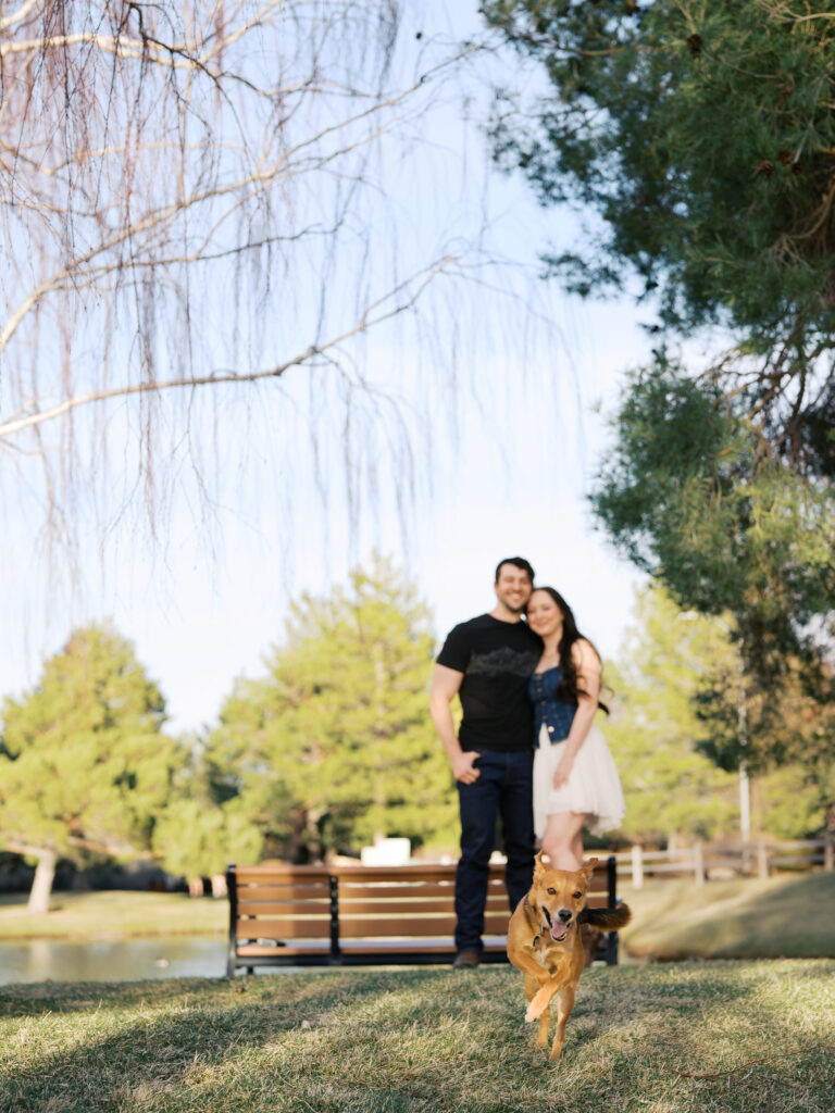 Wide shot of a couple in the back and their dog running towards the camera captured by a Reno photographer in a couples session