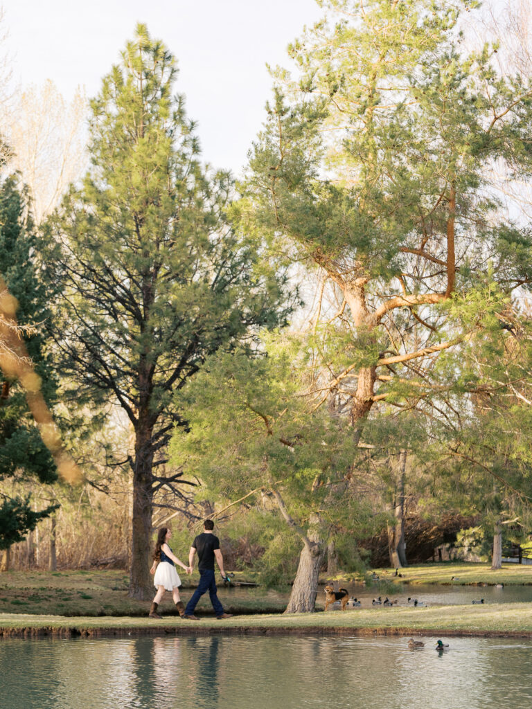 Wide shot of couple walking with their dog while holding hands captured by a Reno photographer in a couples session